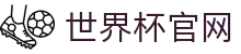 世界杯看球网.(中国)官方网站